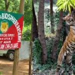 ଏସ୍‌ଆଇଆର୍‌ ପ୍ରକ୍ରିୟା ; ଜାନୁଆରୀ ୧୦ରେ ପ୍ରକାଶ ପାଇବ ସାନି ଚୂଡ଼ାନ୍ତ ଭୋଟର ତାଲିକା